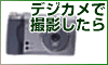 株式会社ハイカラー