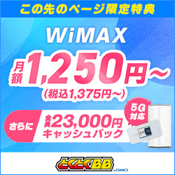 21年高速モバイルインターネット比較 ポケットwifi ワイモバイル Wimax2
