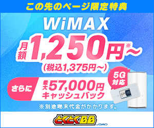 WiMAX比較
