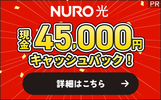 ソニーNURO光公式サイト
４５０００円キャッシュバック