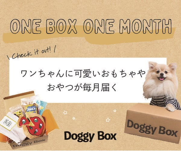 愛犬向けおもちゃとおやつの定期便サービス 【Doggy Box】