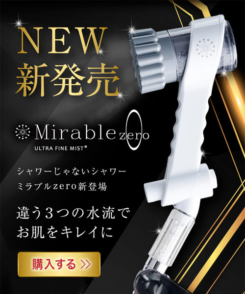 【2022年FIRE達成】トクヤス21@特安情報で収入以上の効果💰節約ソムリエ１級！あなたの節約生活をアテンドします♪  冬の乾燥さようなら！魔法を実感。新発売シャワーミラブルゼロ