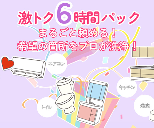 掃除代行 6時間パック お掃除選べる